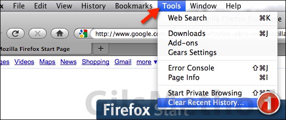 How To Delete Your Browsing History In Firefox 3