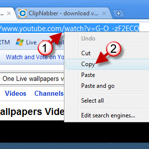 Use ClipNabber to Download Videos from the Internet