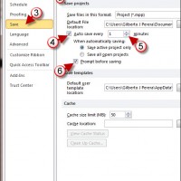 Enable Auto Save in Project 2010